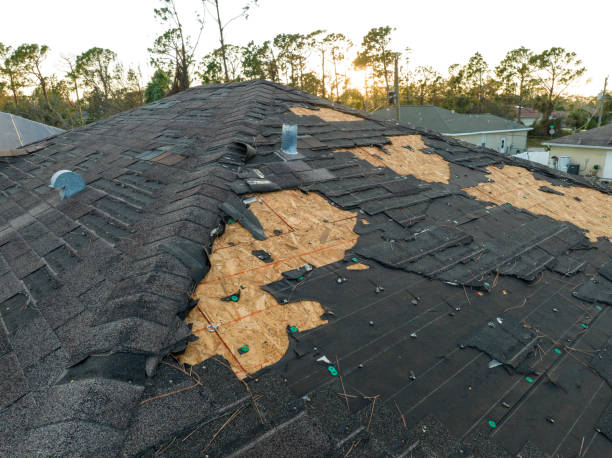 Best Roof Leak Repair  in White Pine, TN